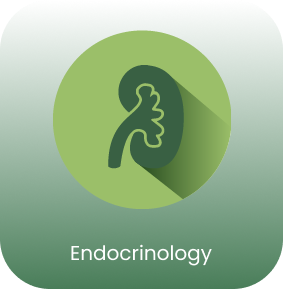 Endocrinology